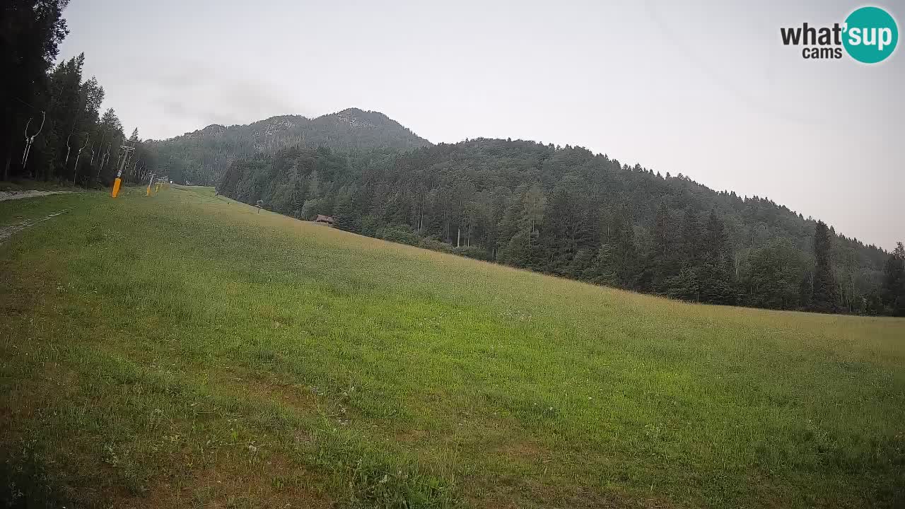 RTC Kranjska Gora | Brsnina