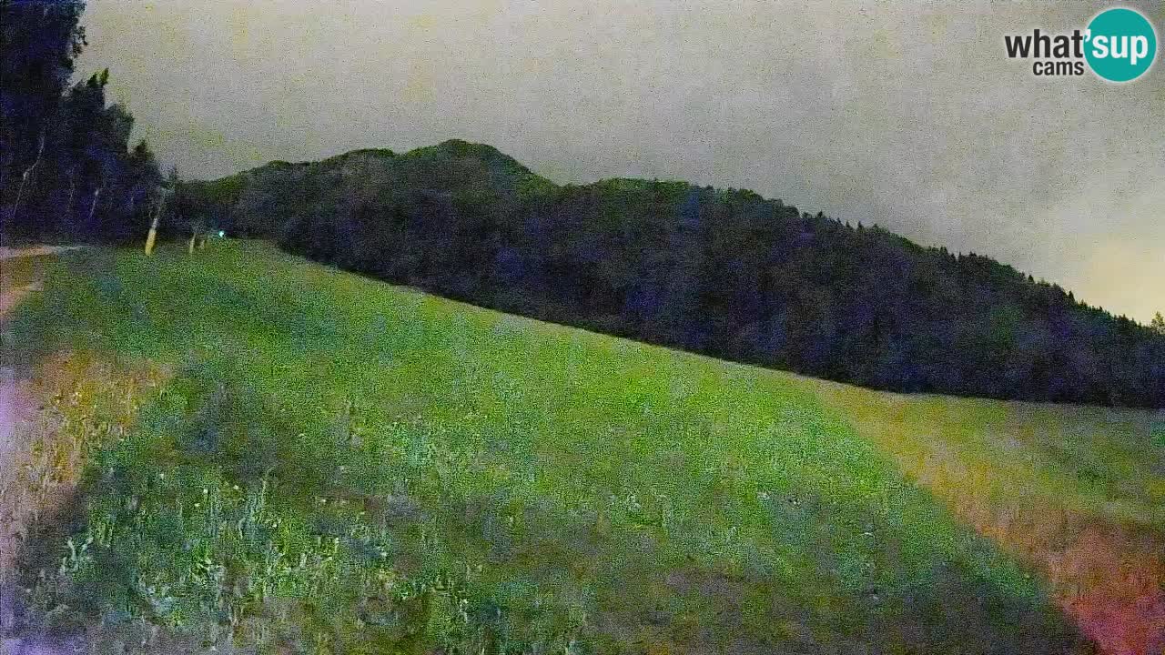 Ski Kranjska Gora | Brsnina