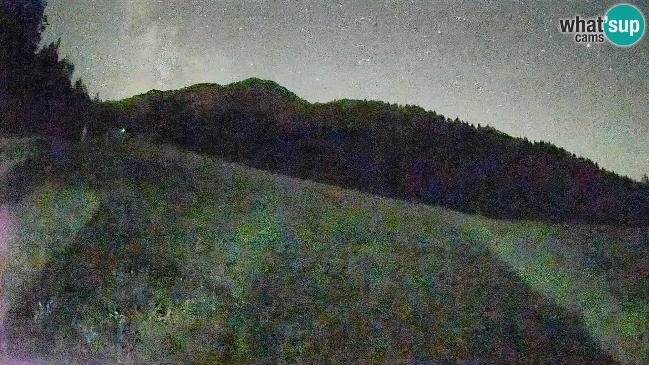Ski Kranjska Gora | Brsnina