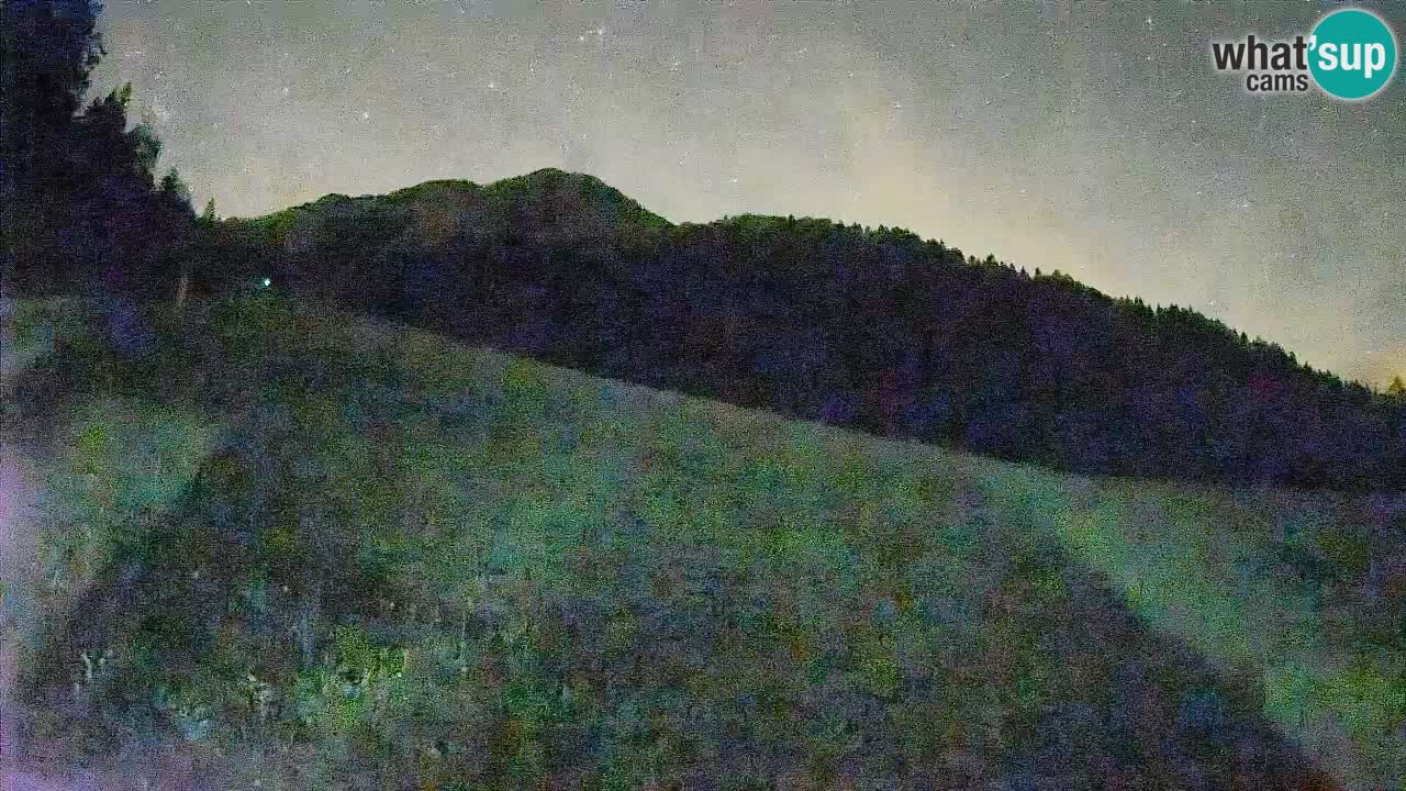 Ski Kranjska Gora | Brsnina