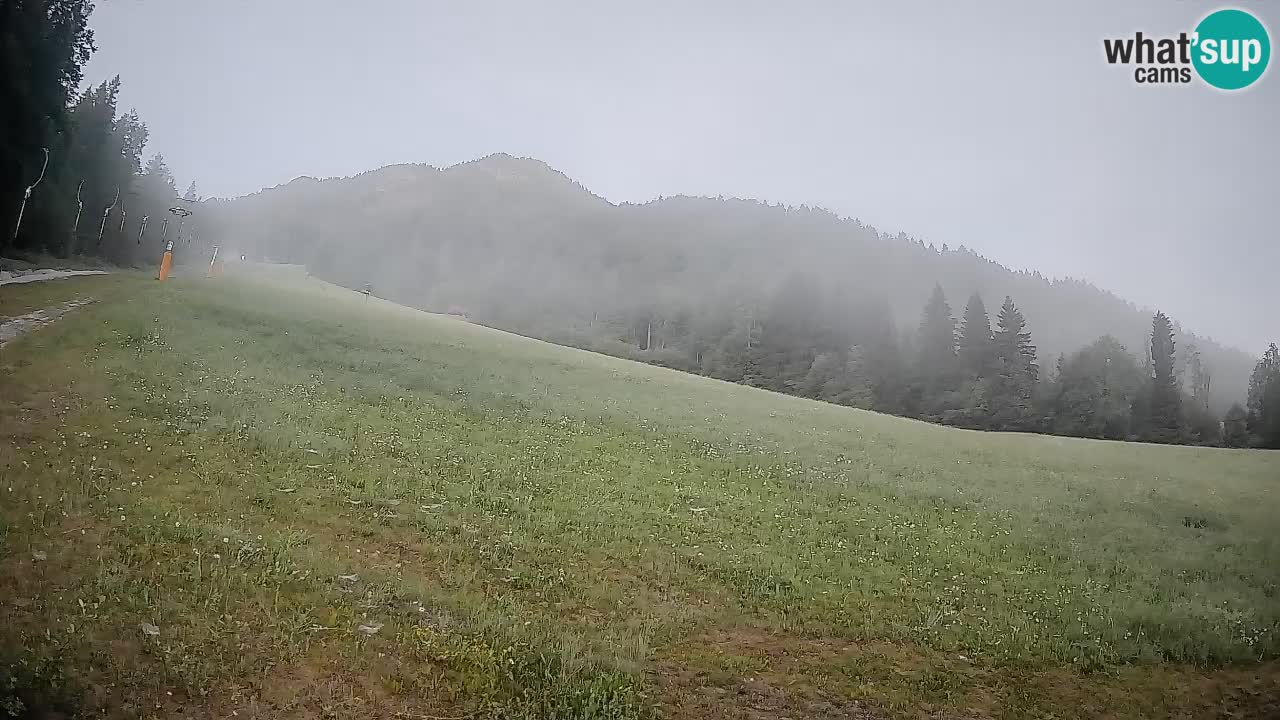 RTC Skigebiet Kranjska Gora | Brsnina