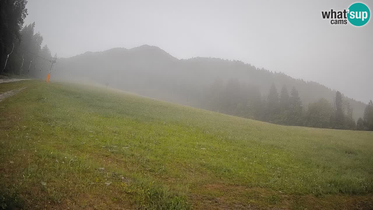 RTC Kranjska Gora | Brsnina