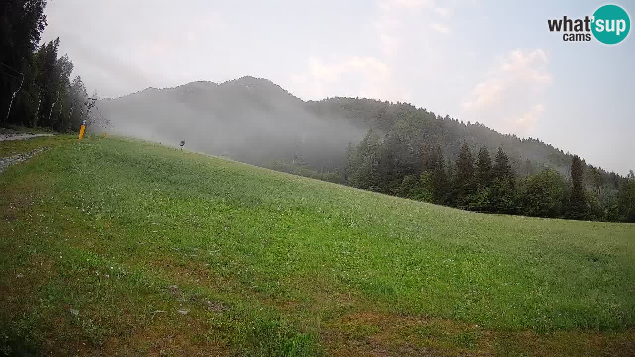 RTC Skigebiet Kranjska Gora | Brsnina