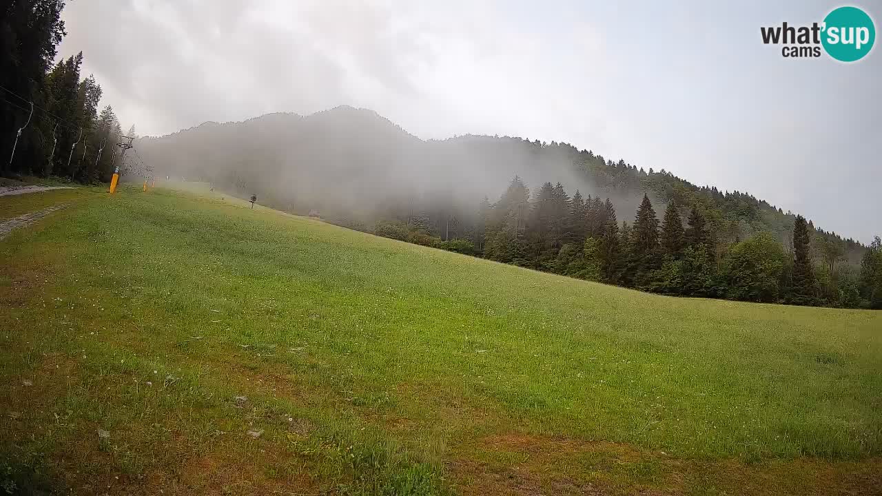 RTC Kranjska Gora | Brsnina