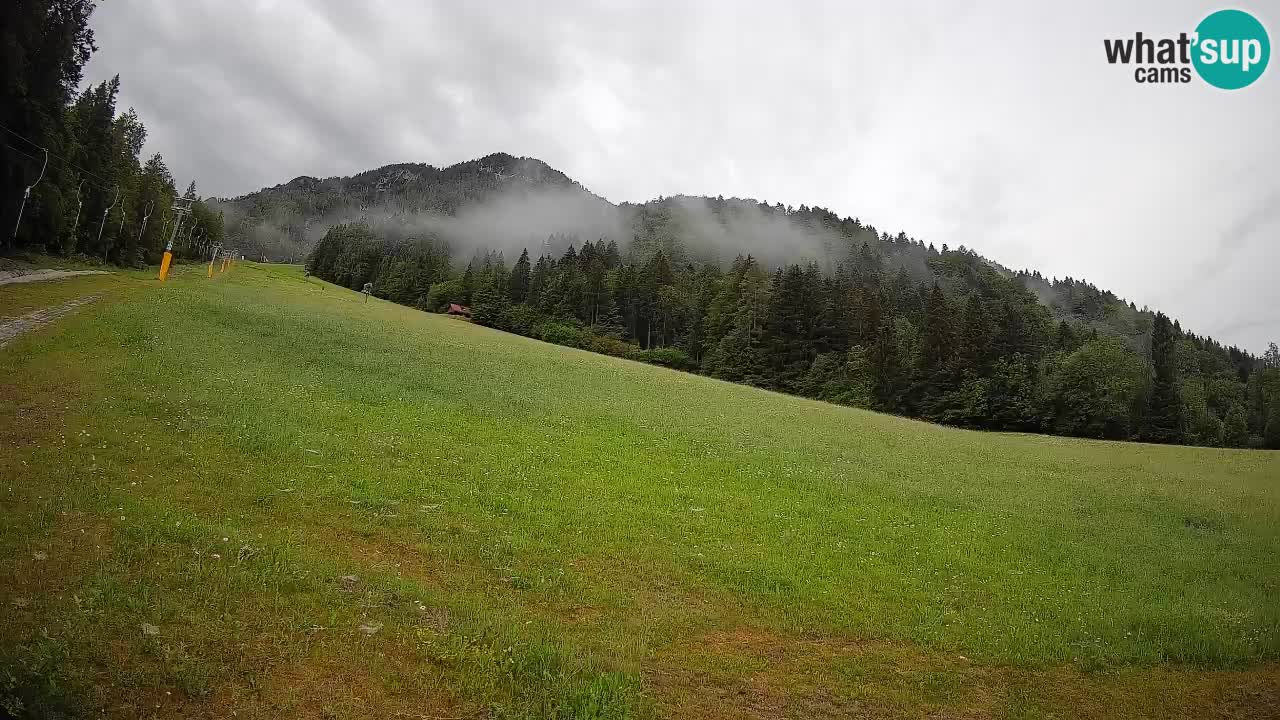 RTC Kranjska Gora | Brsnina