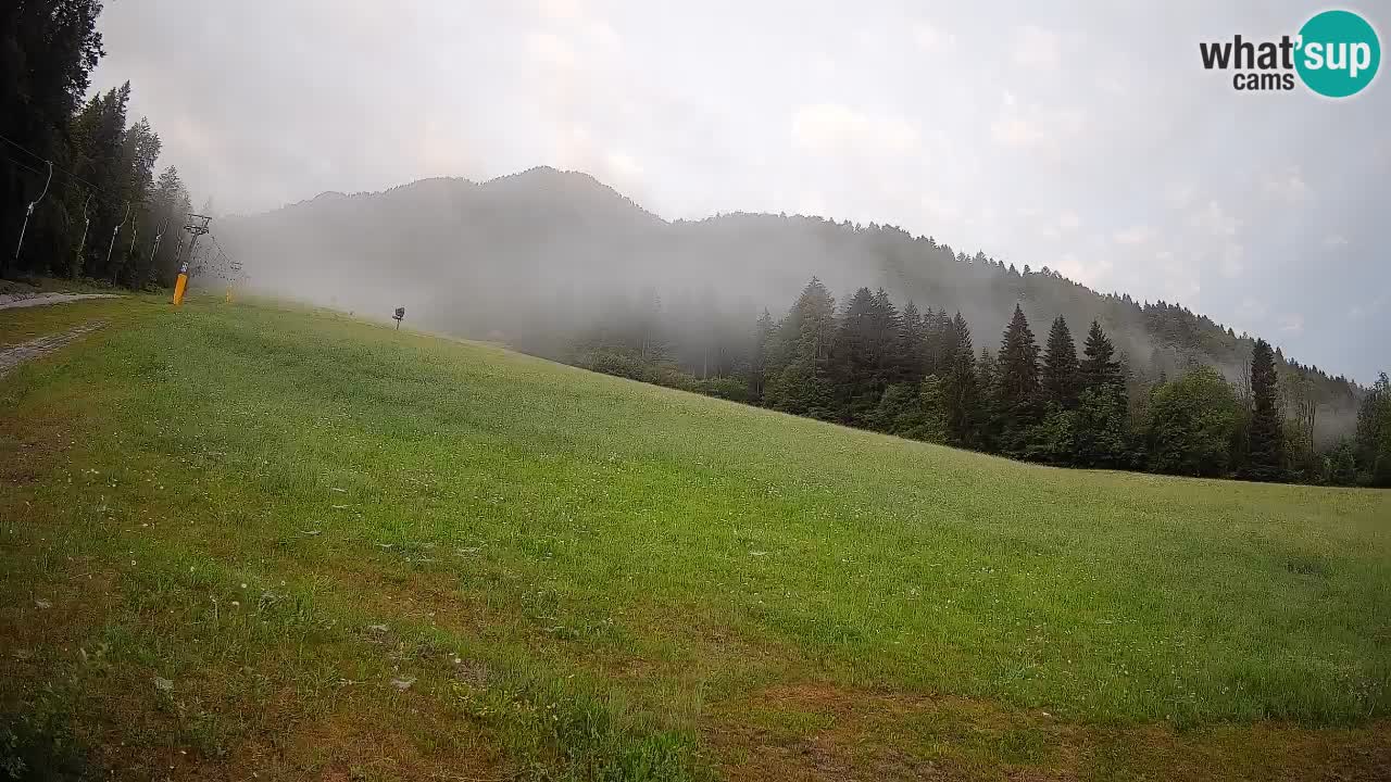 RTC Skigebiet Kranjska Gora | Brsnina