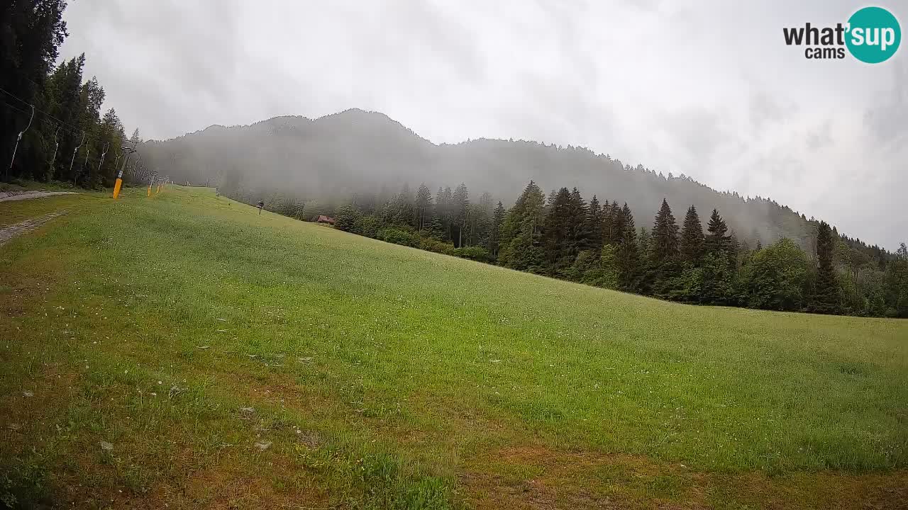 Kranjska Gora SKIJANJE | Brsnina