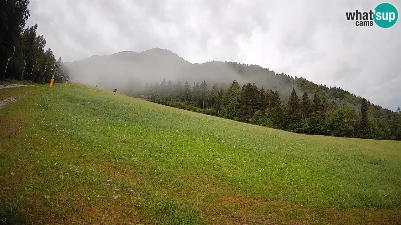 Comprensorio sciistico Kranjska Gora | Brsnina