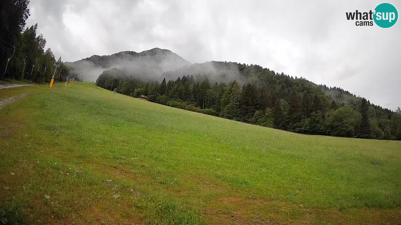 Kranjska Gora Station de ski | Brsnina
