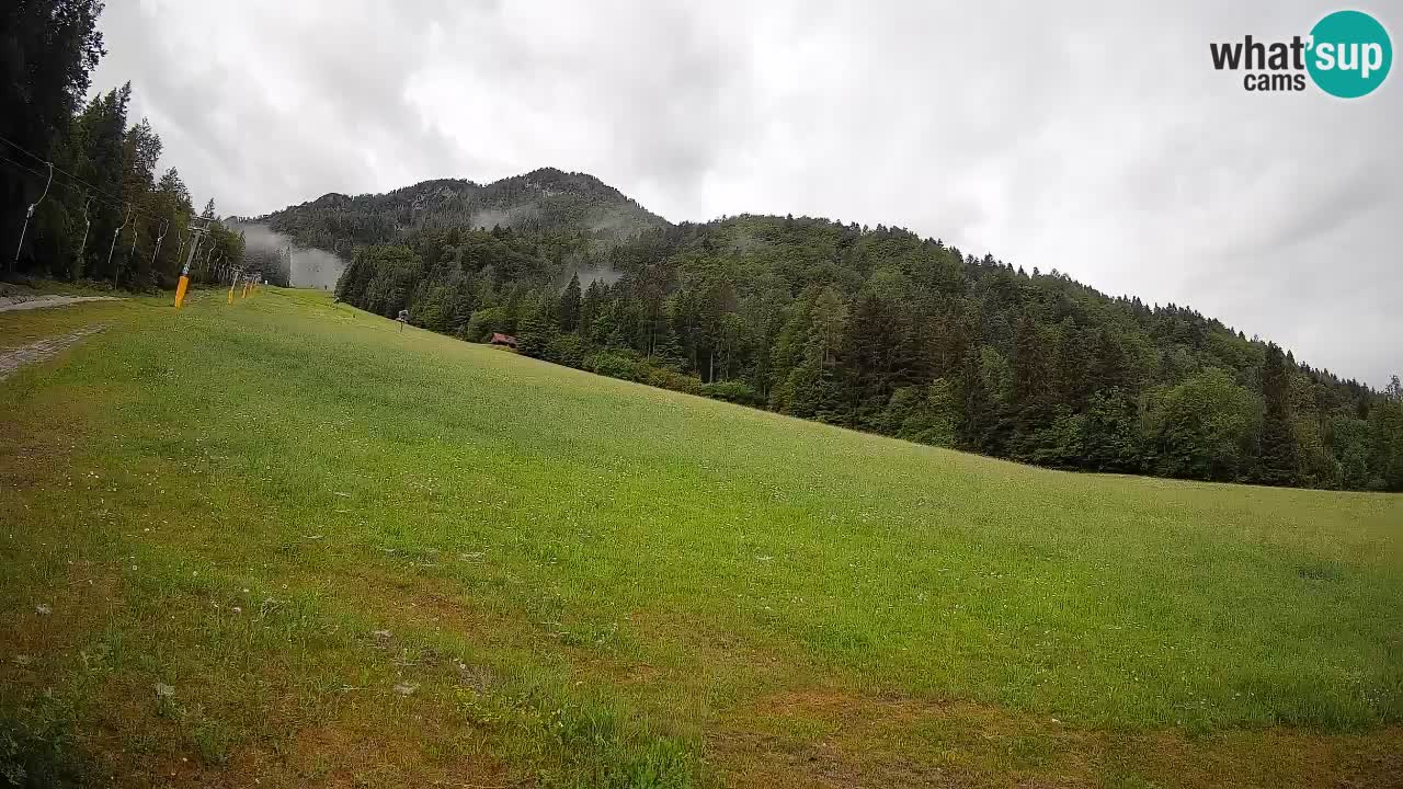 Ski Kranjska Gora | Brsnina