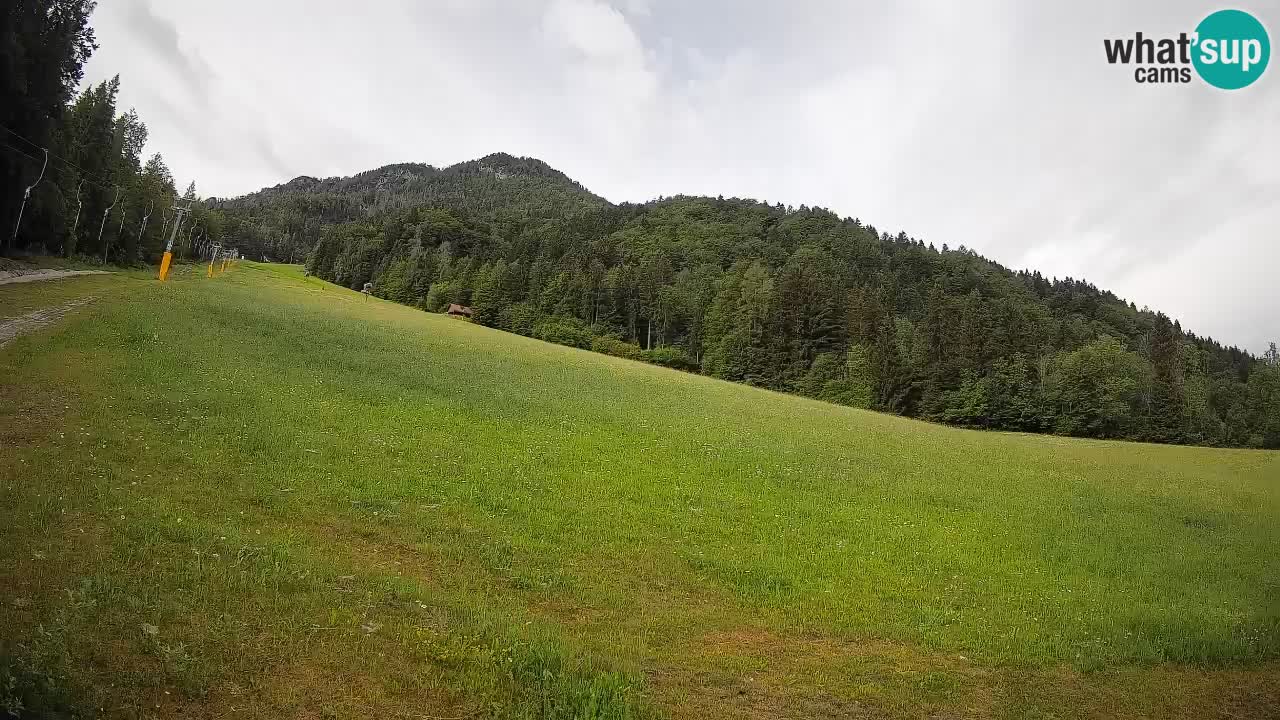 Comprensorio sciistico Kranjska Gora | Brsnina