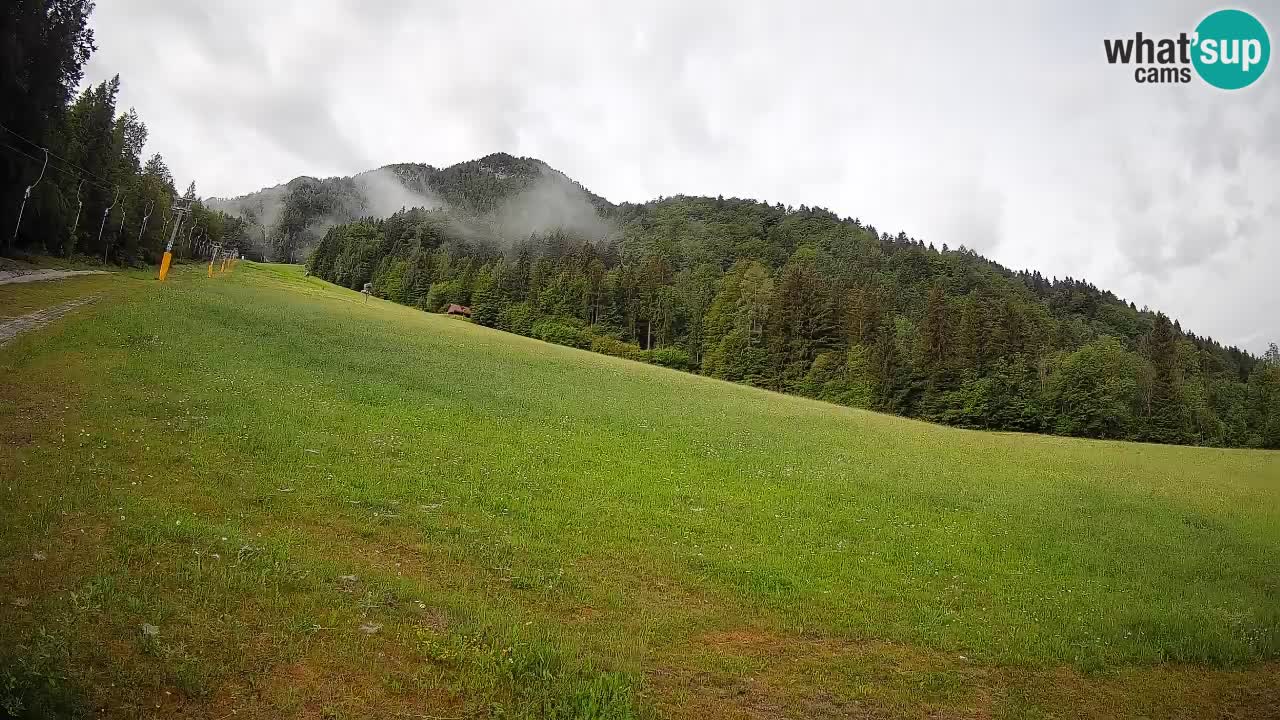 Kranjska Gora SKIJANJE | Brsnina