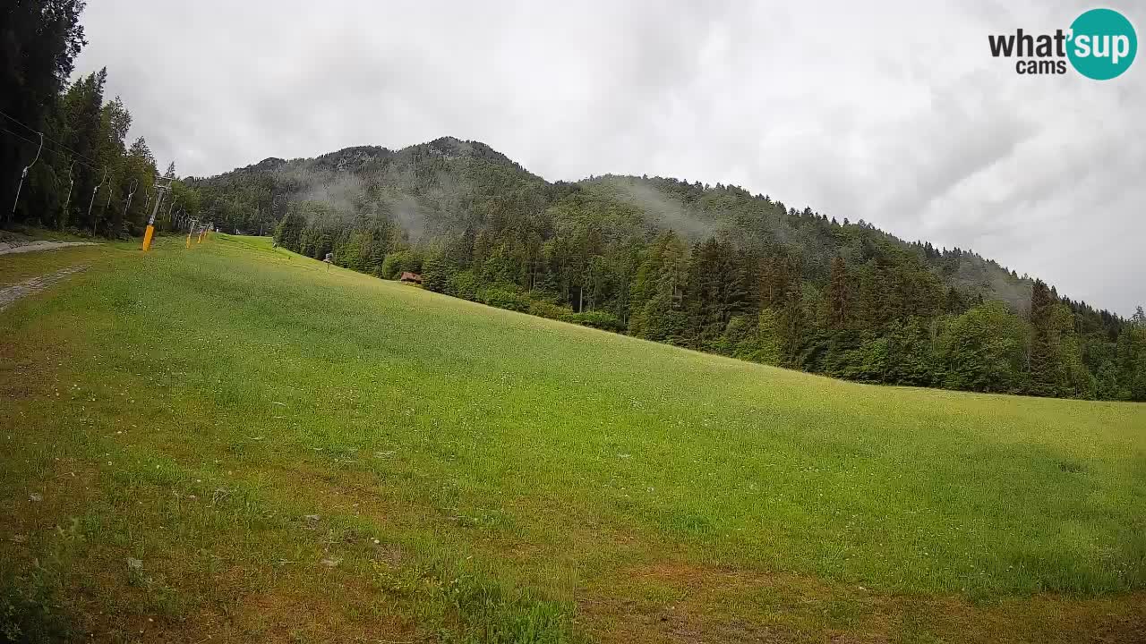 RTC Kranjska Gora | Brsnina