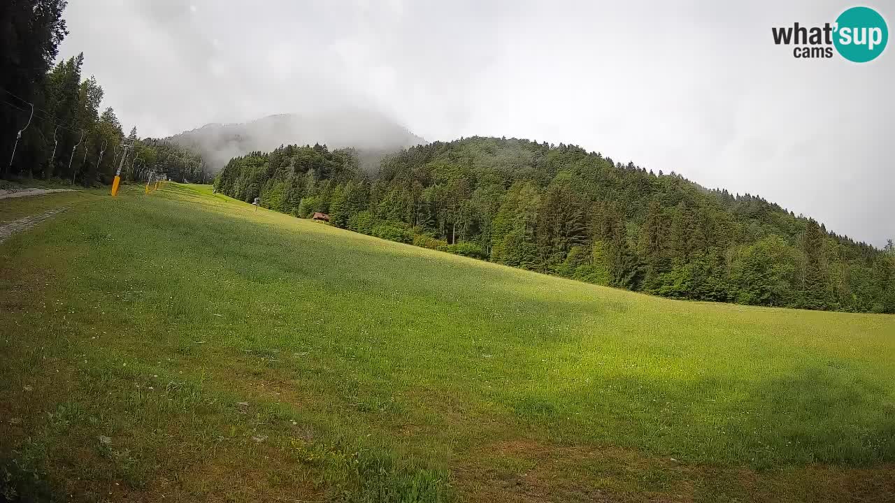 Kranjska Gora Station de ski | Brsnina