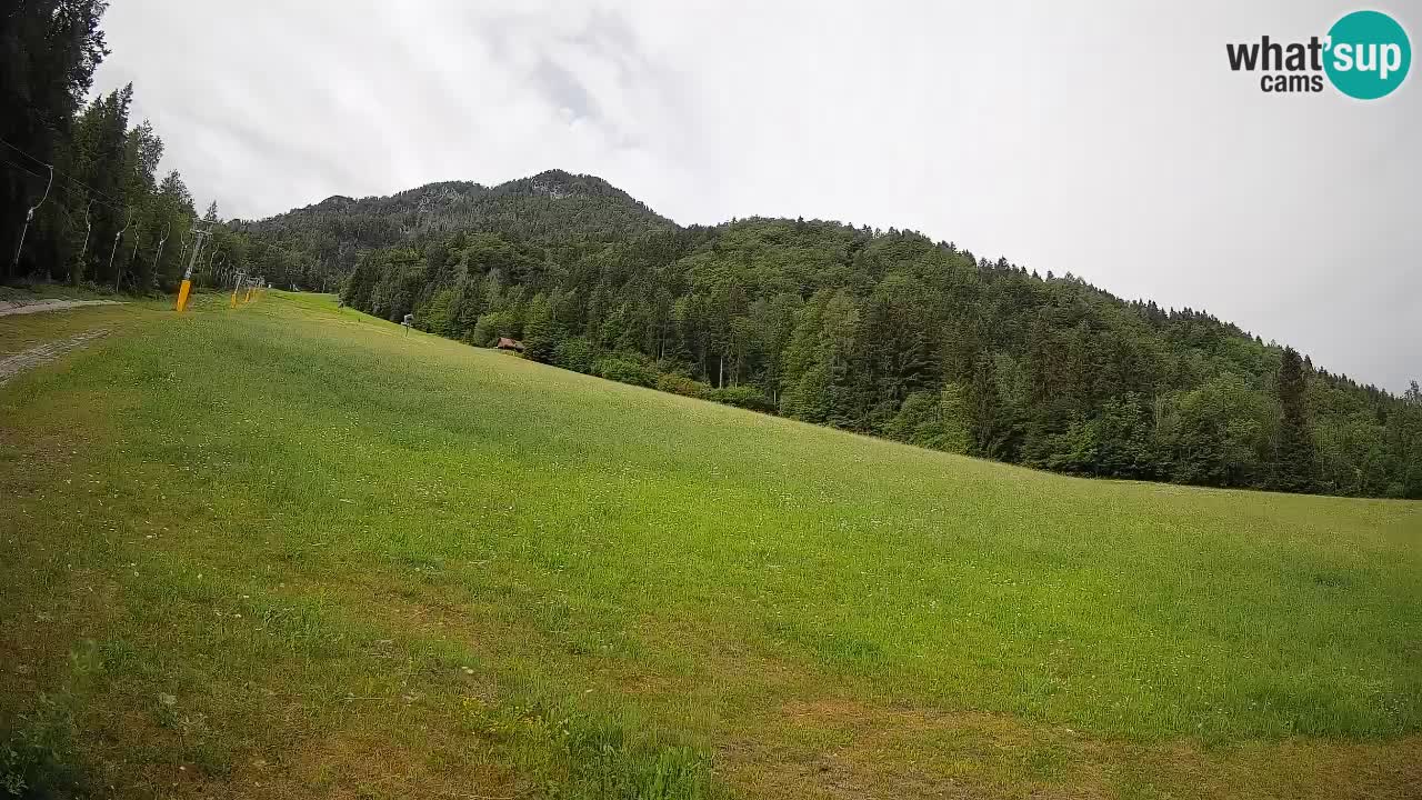 Esquí Kranjska Gora | Brsnina