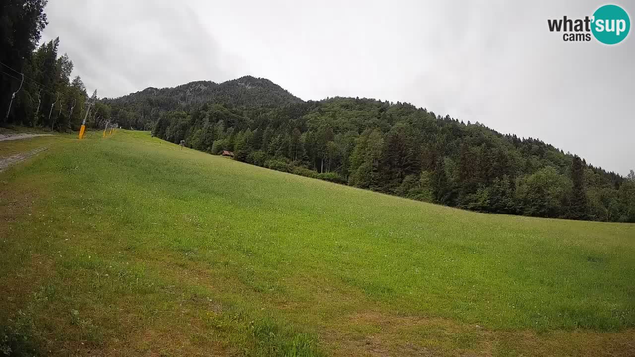 Kranjska Gora SKIJANJE | Brsnina