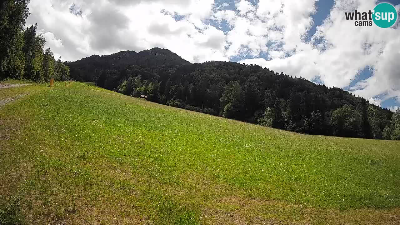 RTC Skigebiet Kranjska Gora | Brsnina