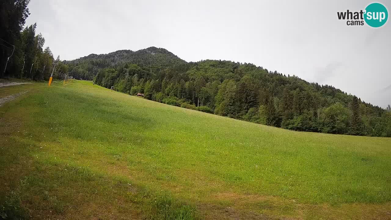 Kranjska Gora SKIJANJE | Brsnina