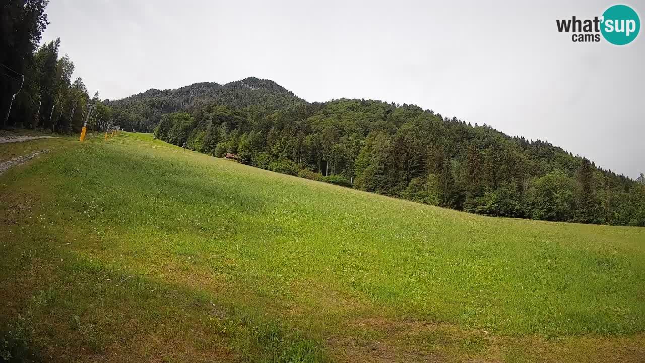 RTC Skigebiet Kranjska Gora | Brsnina