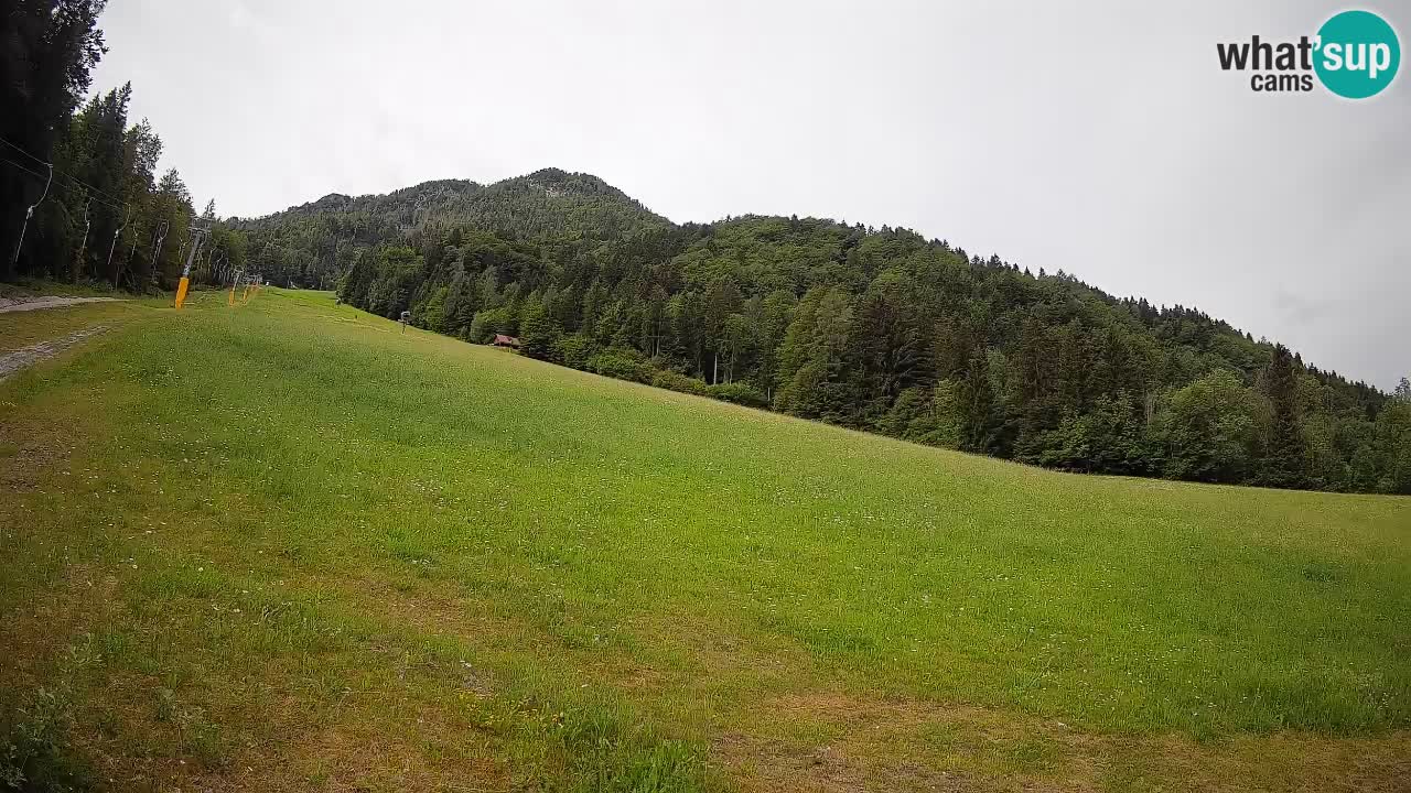 Esquí Kranjska Gora | Brsnina