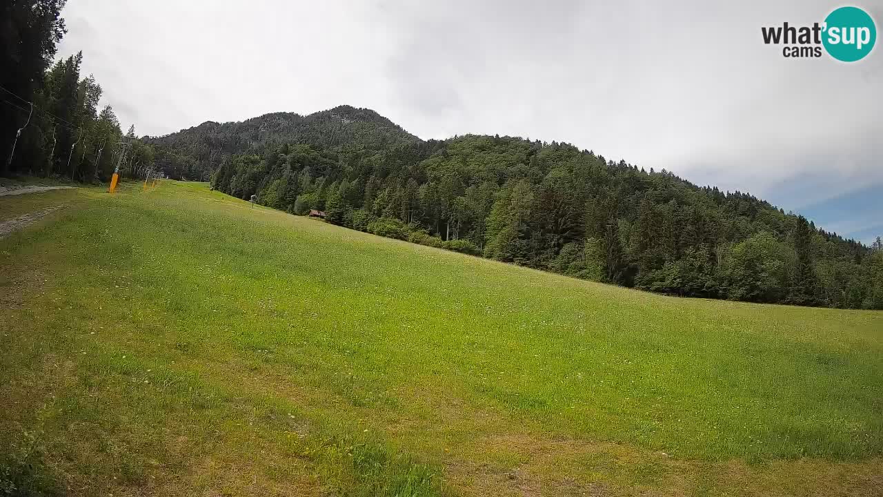 RTC Skigebiet Kranjska Gora | Brsnina