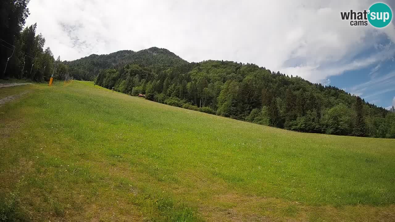 Comprensorio sciistico Kranjska Gora | Brsnina