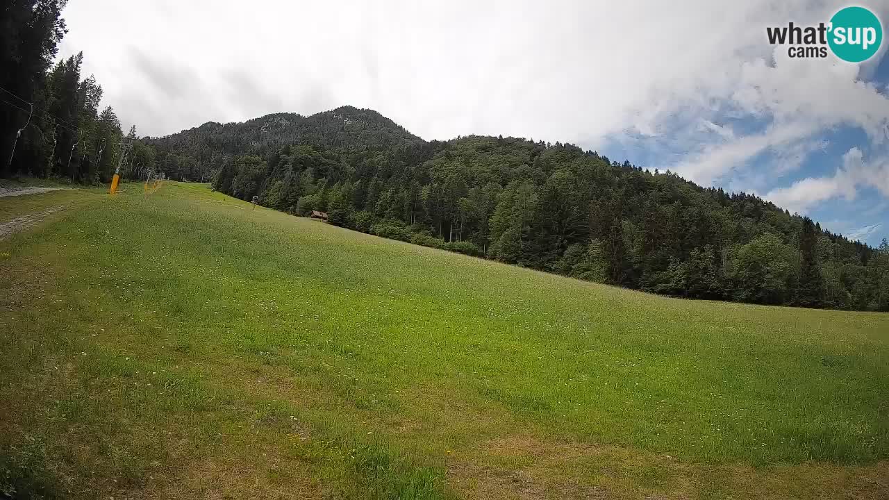 RTC Skigebiet Kranjska Gora | Brsnina