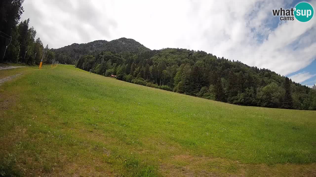 Kranjska Gora SKIJANJE | Brsnina