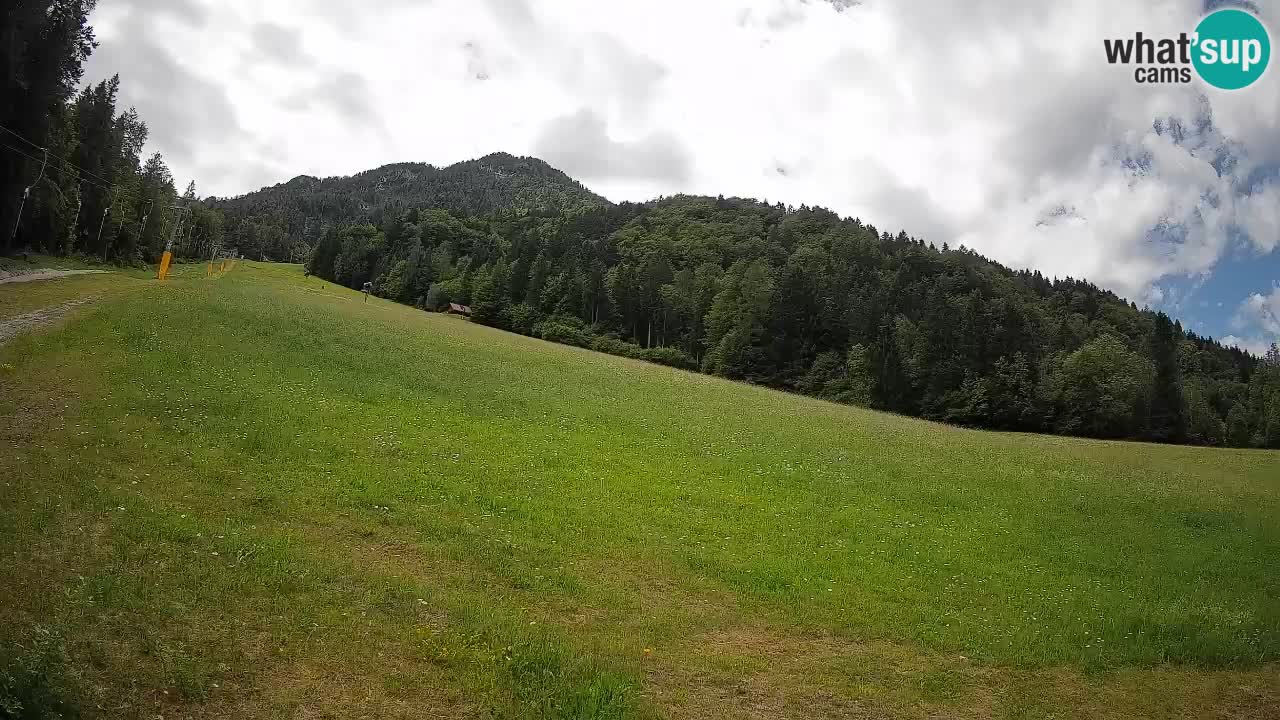 Esquí Kranjska Gora | Brsnina