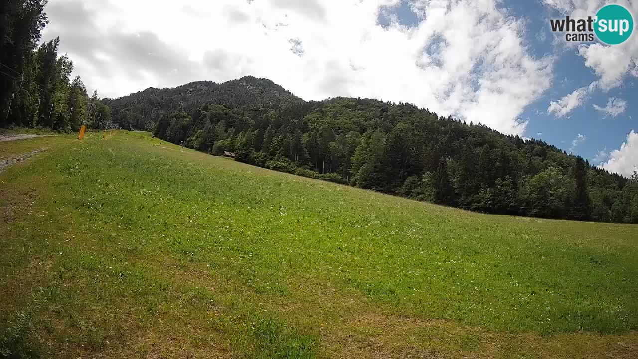 RTC Skigebiet Kranjska Gora | Brsnina