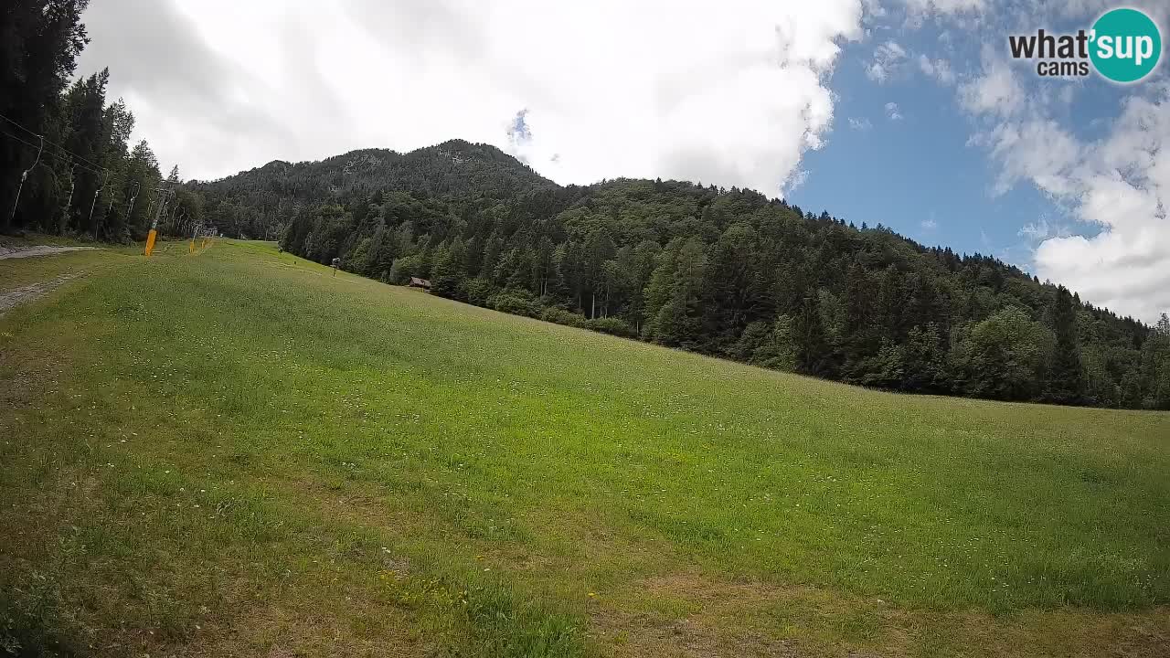 Esquí Kranjska Gora | Brsnina