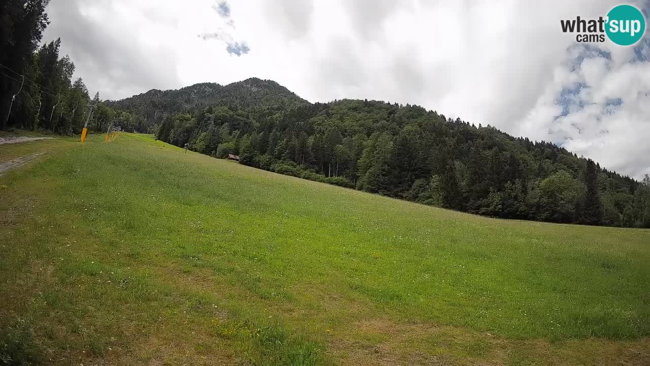 RTC Skigebiet Kranjska Gora | Brsnina