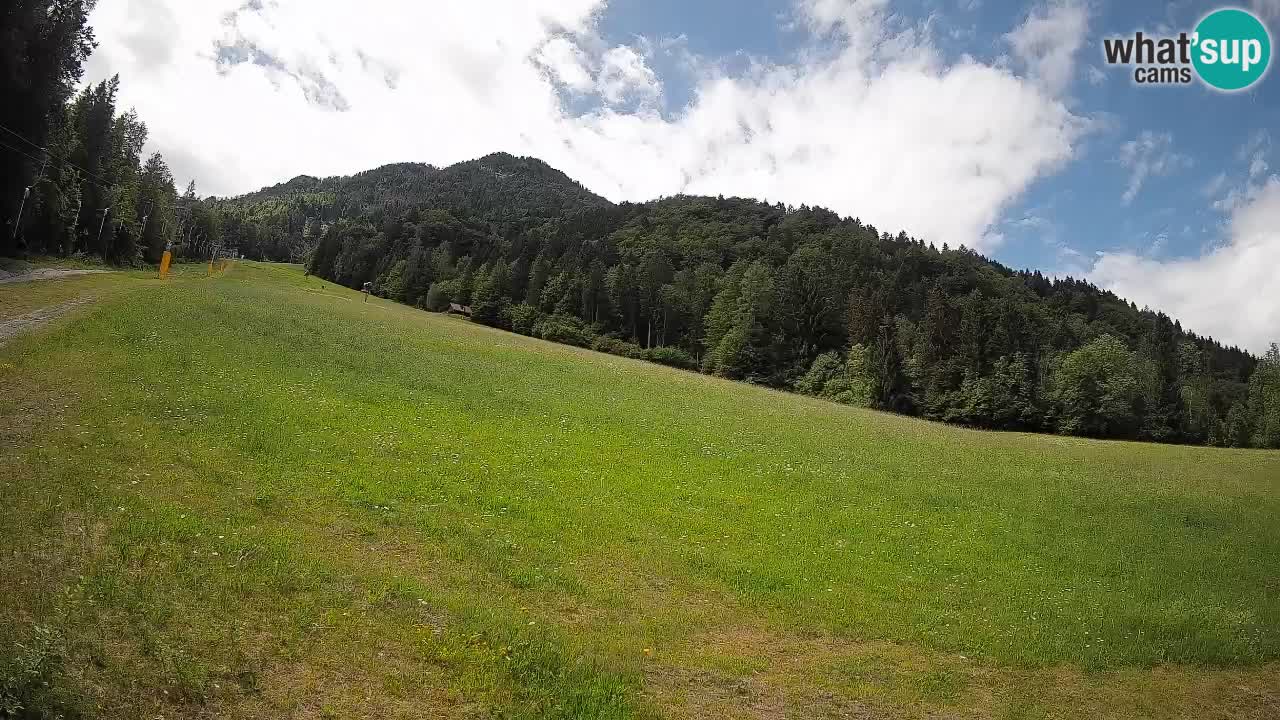 RTC Skigebiet Kranjska Gora | Brsnina