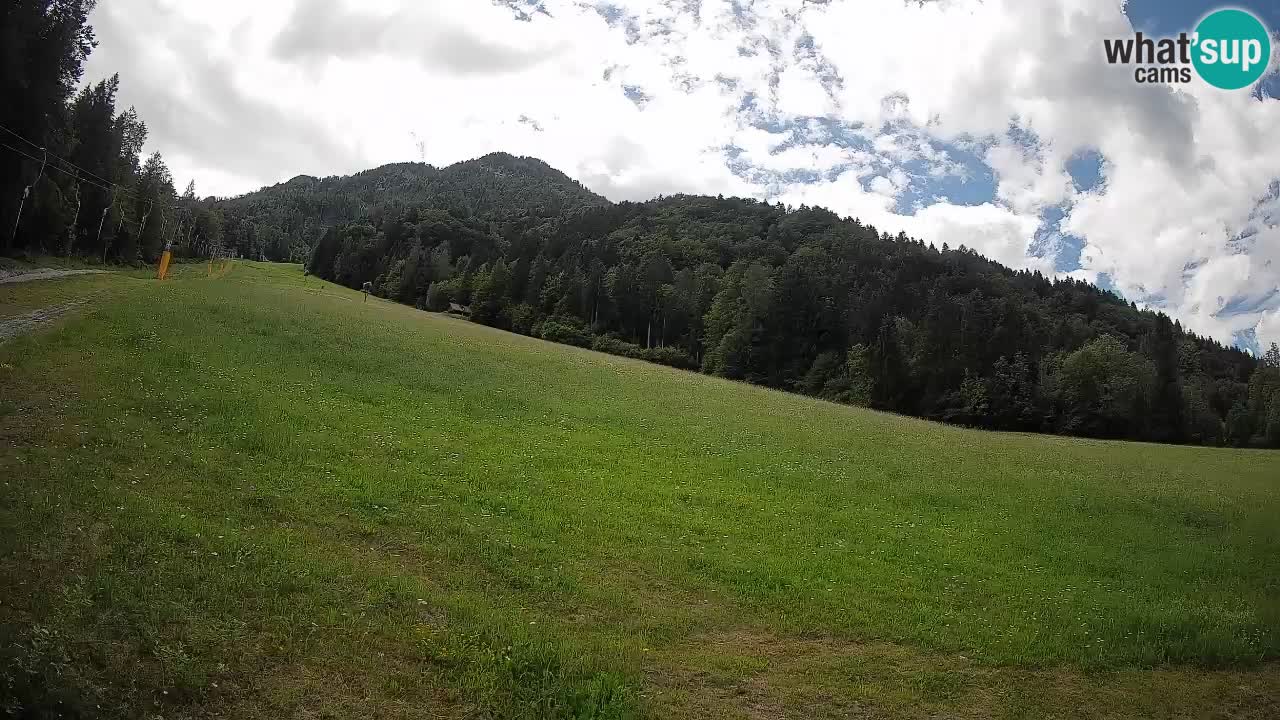 RTC Skigebiet Kranjska Gora | Brsnina