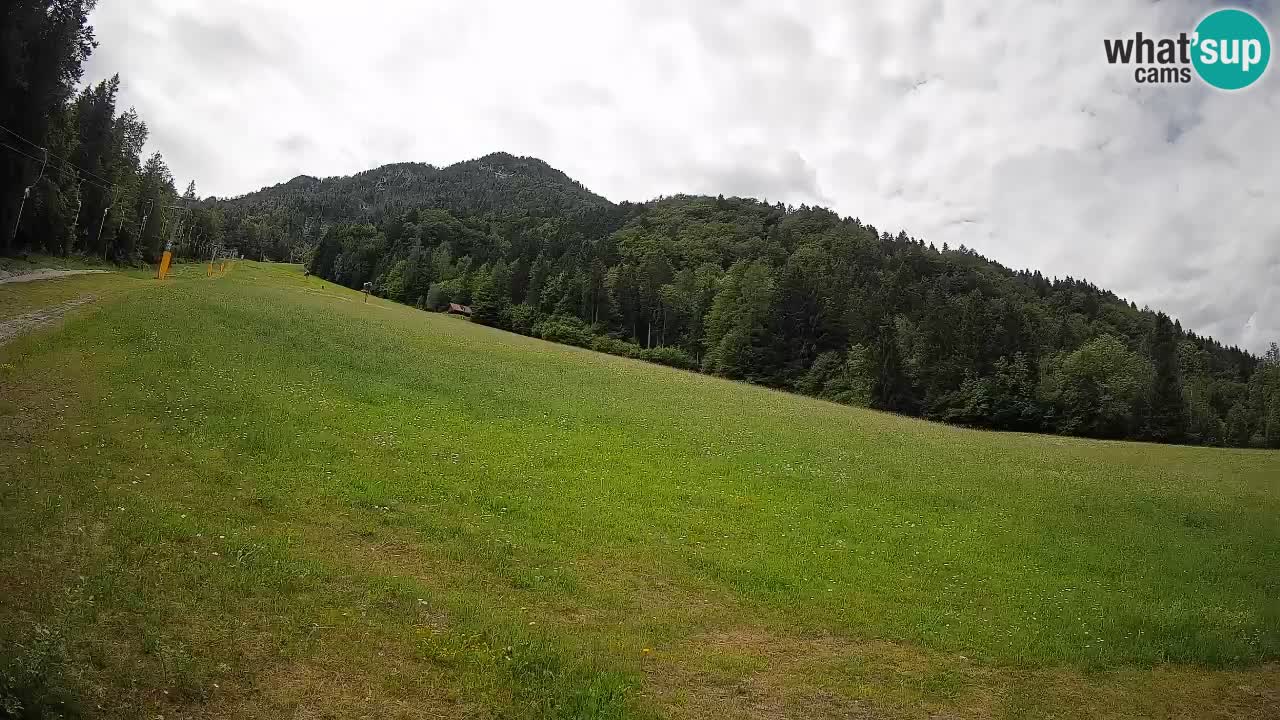 Esquí Kranjska Gora | Brsnina