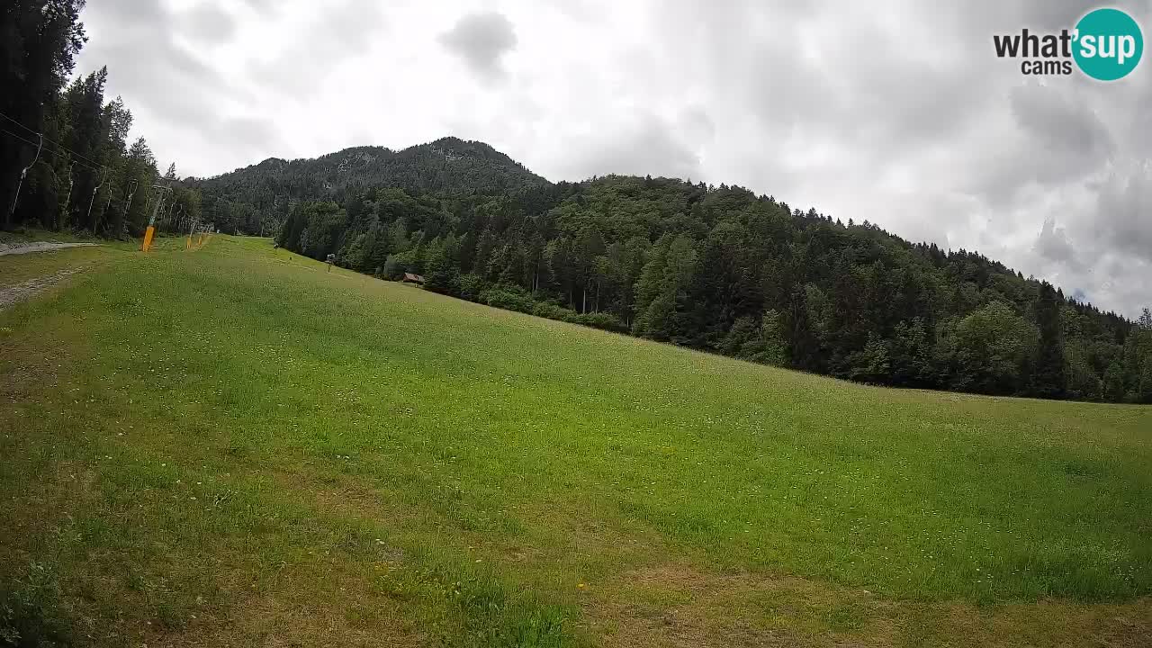 Ski Kranjska Gora | Brsnina
