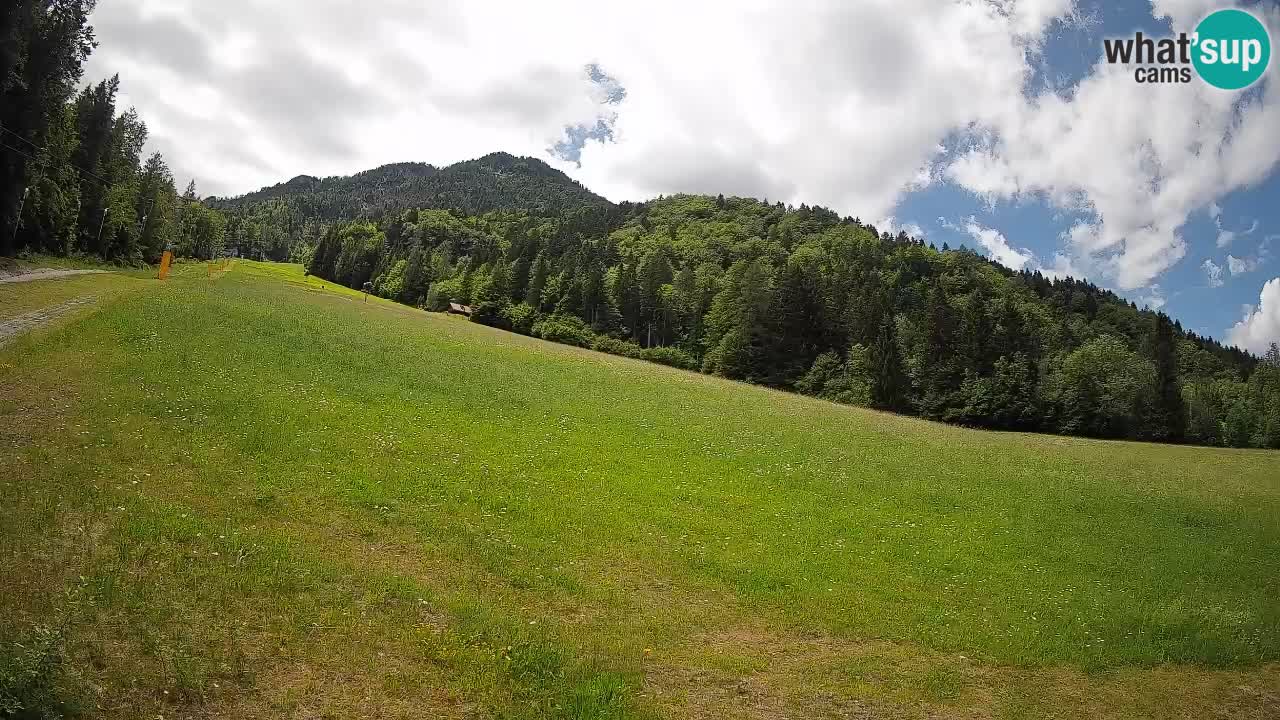 Comprensorio sciistico Kranjska Gora | Brsnina