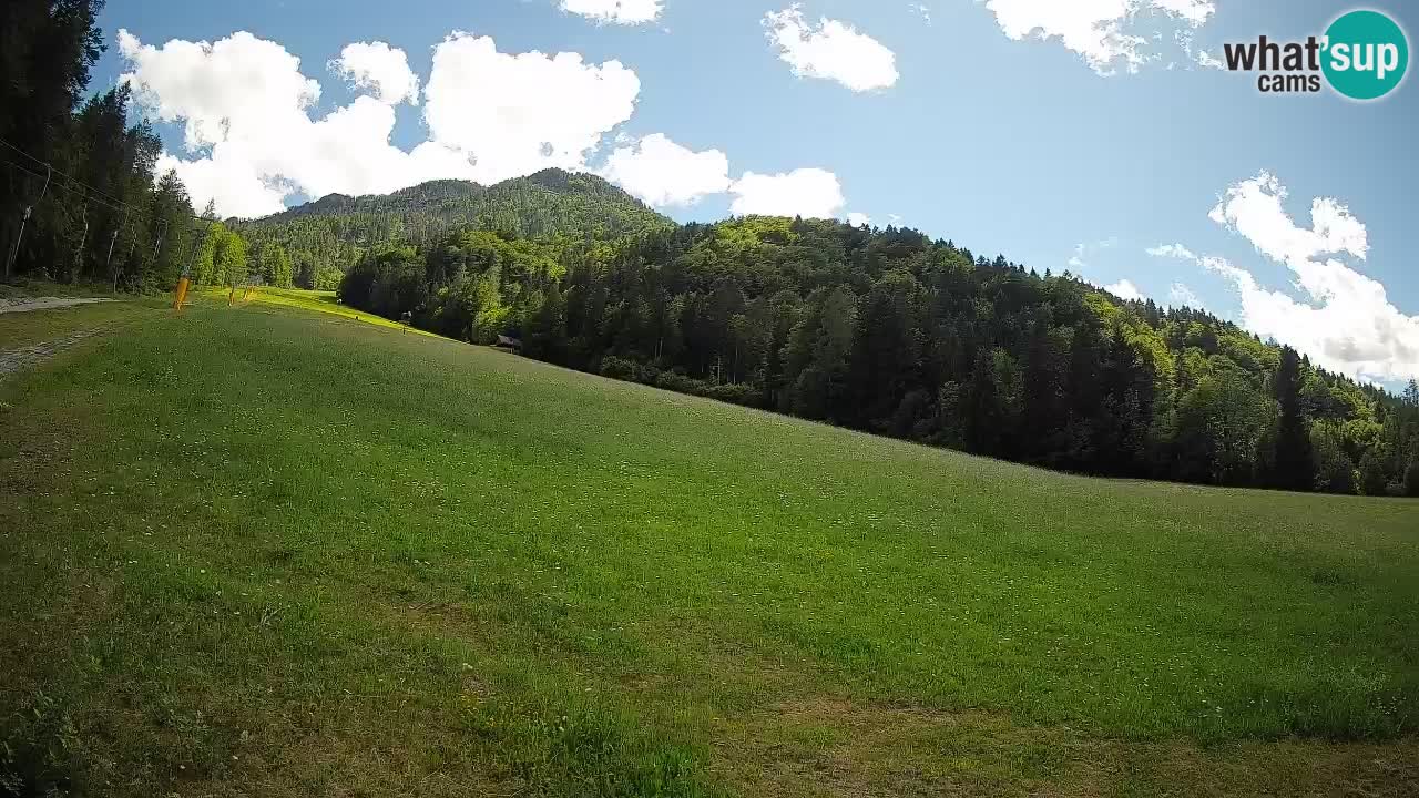 RTC Skigebiet Kranjska Gora | Brsnina