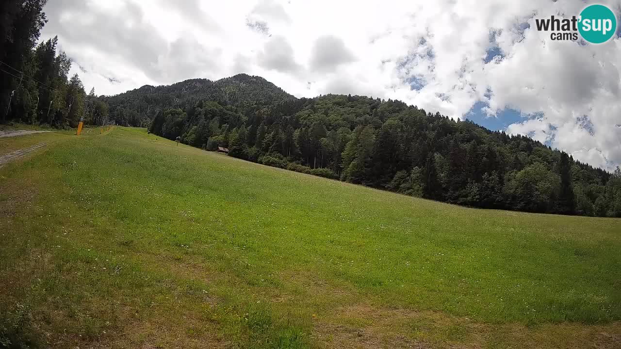 Kranjska Gora Station de ski | Brsnina
