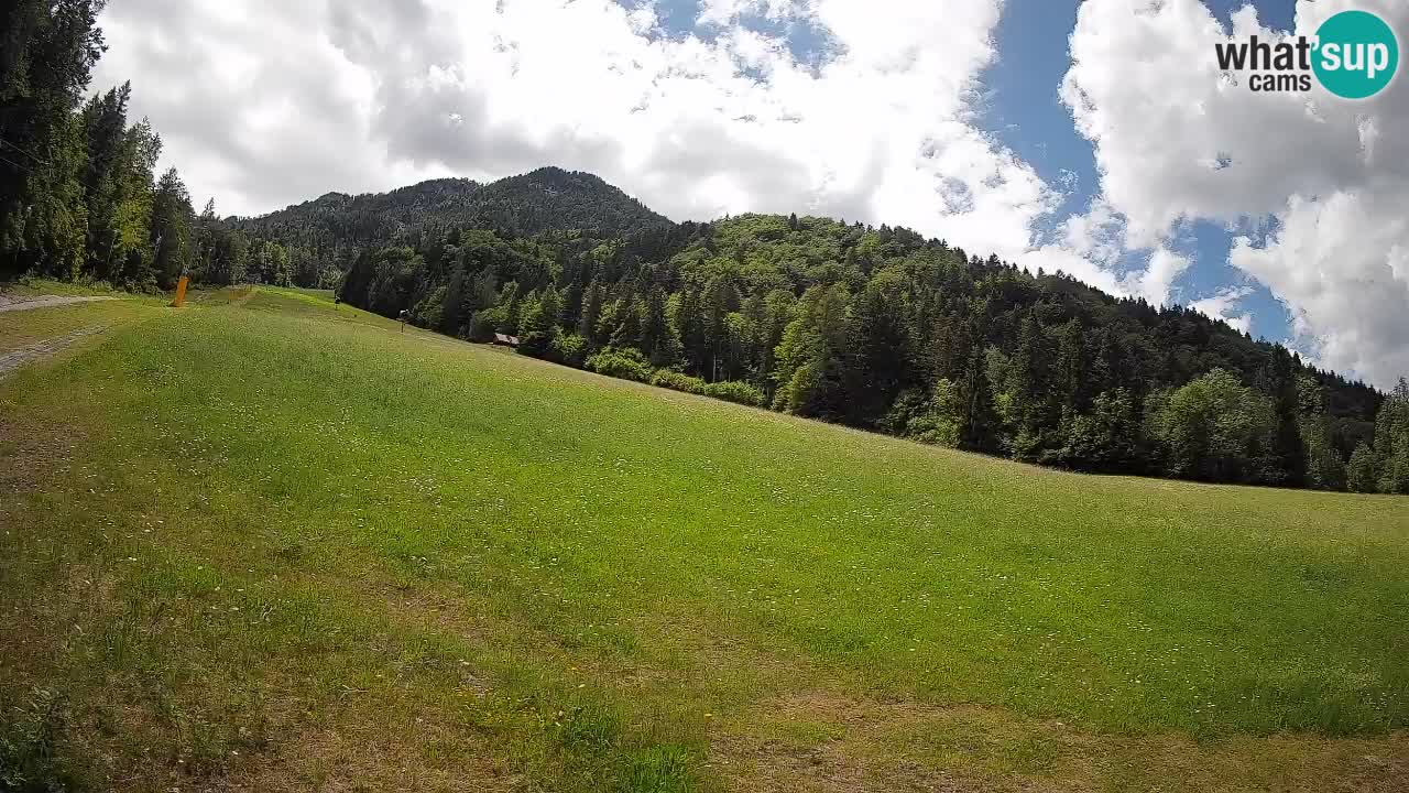 Comprensorio sciistico Kranjska Gora | Brsnina