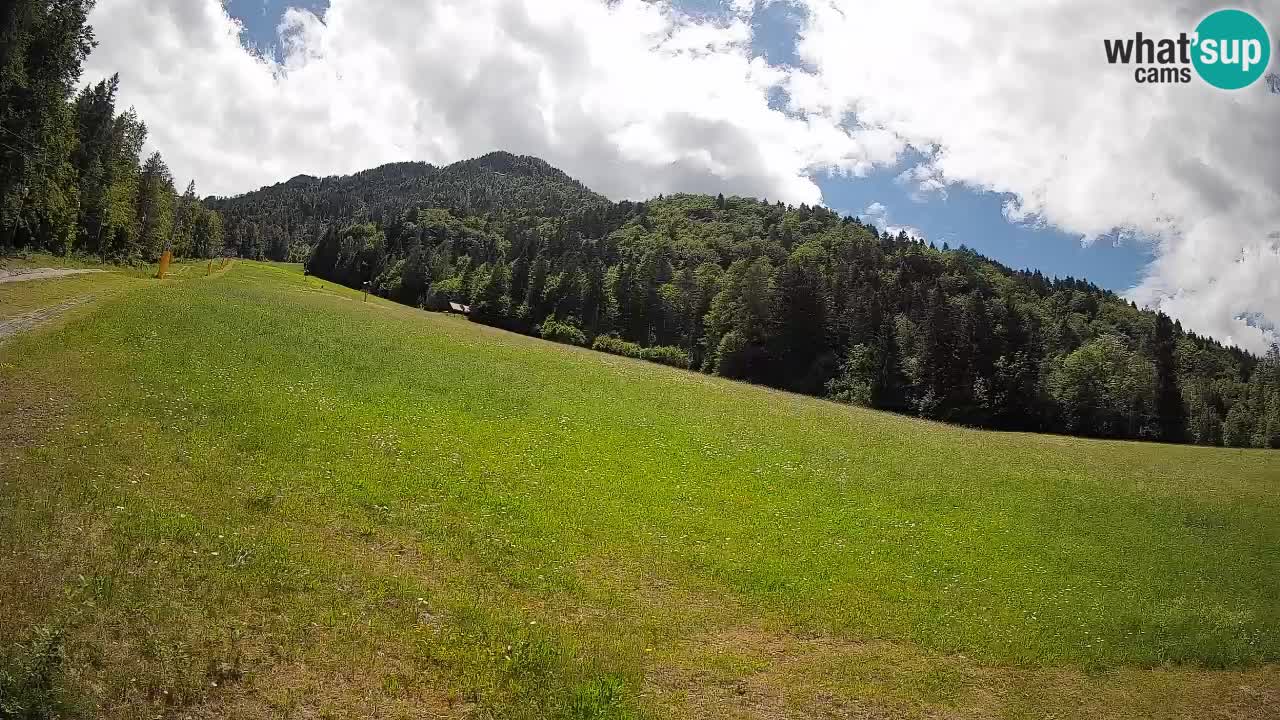 RTC Skigebiet Kranjska Gora | Brsnina