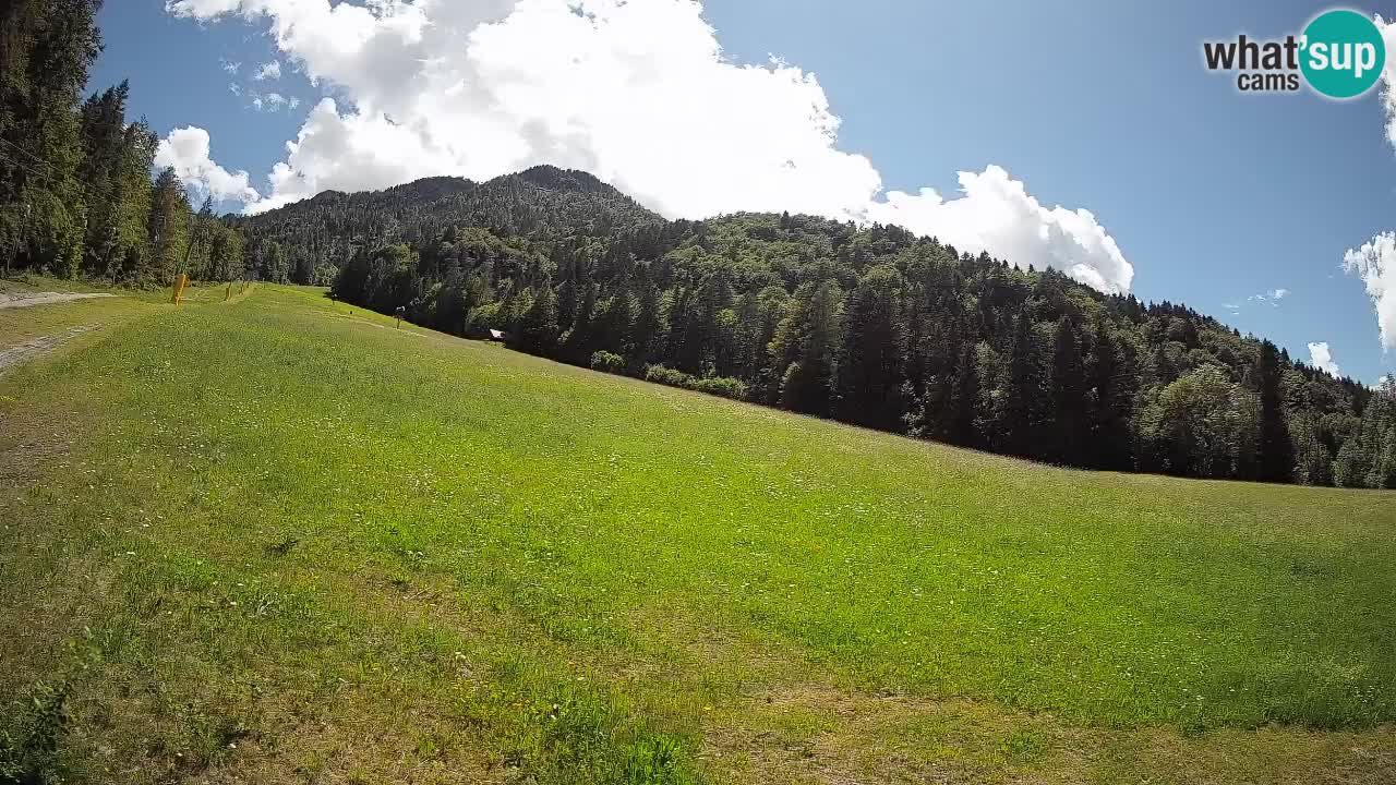 Kranjska Gora Station de ski | Brsnina