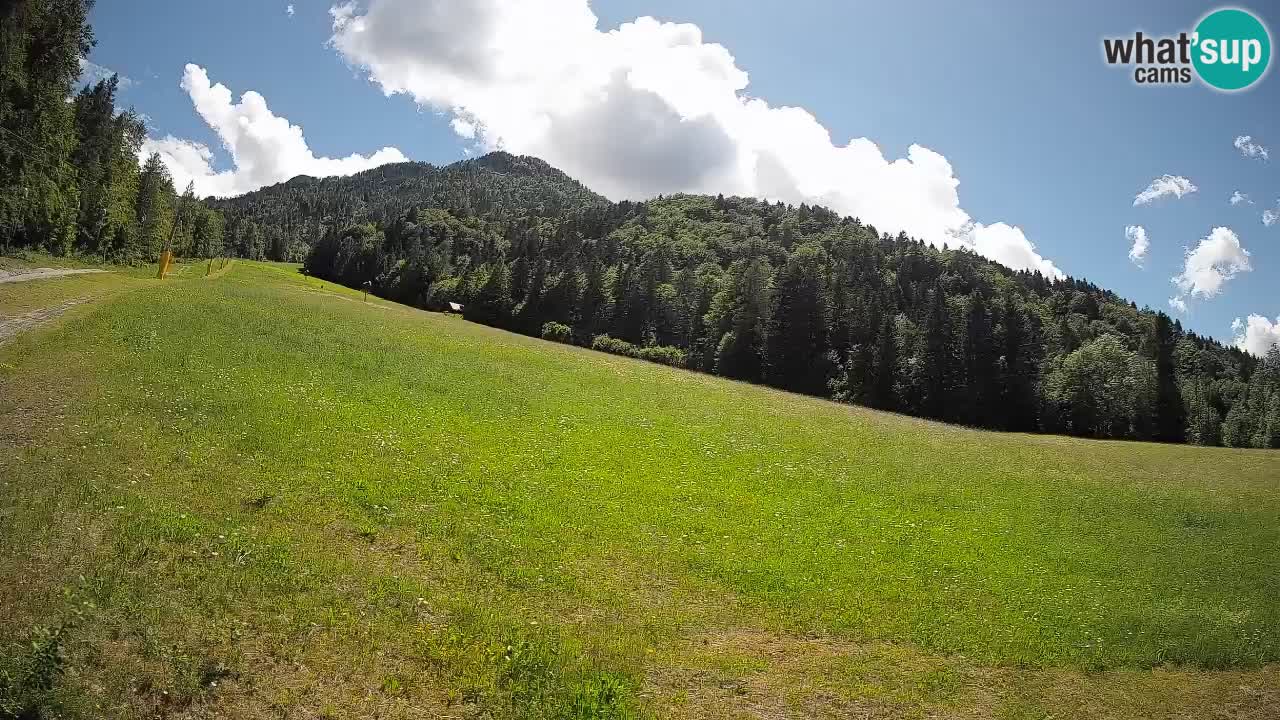 Esquí Kranjska Gora | Brsnina