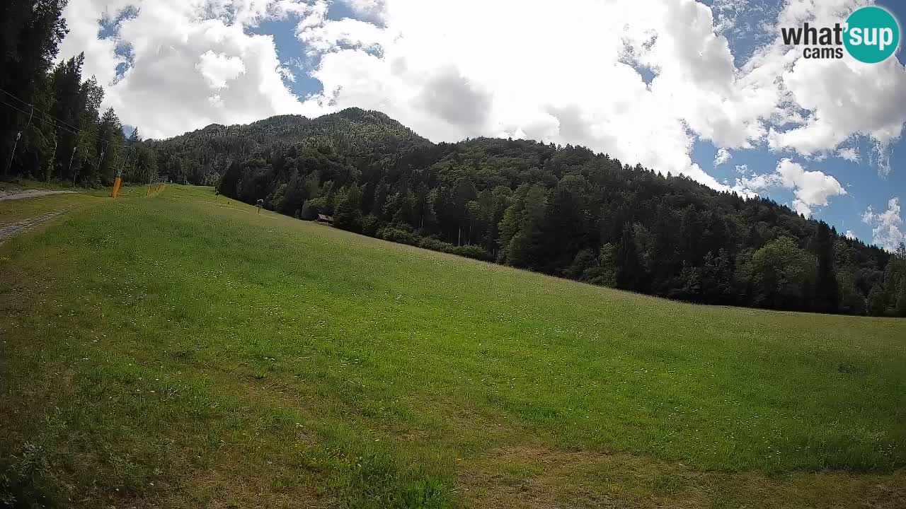 Kranjska Gora Station de ski | Brsnina