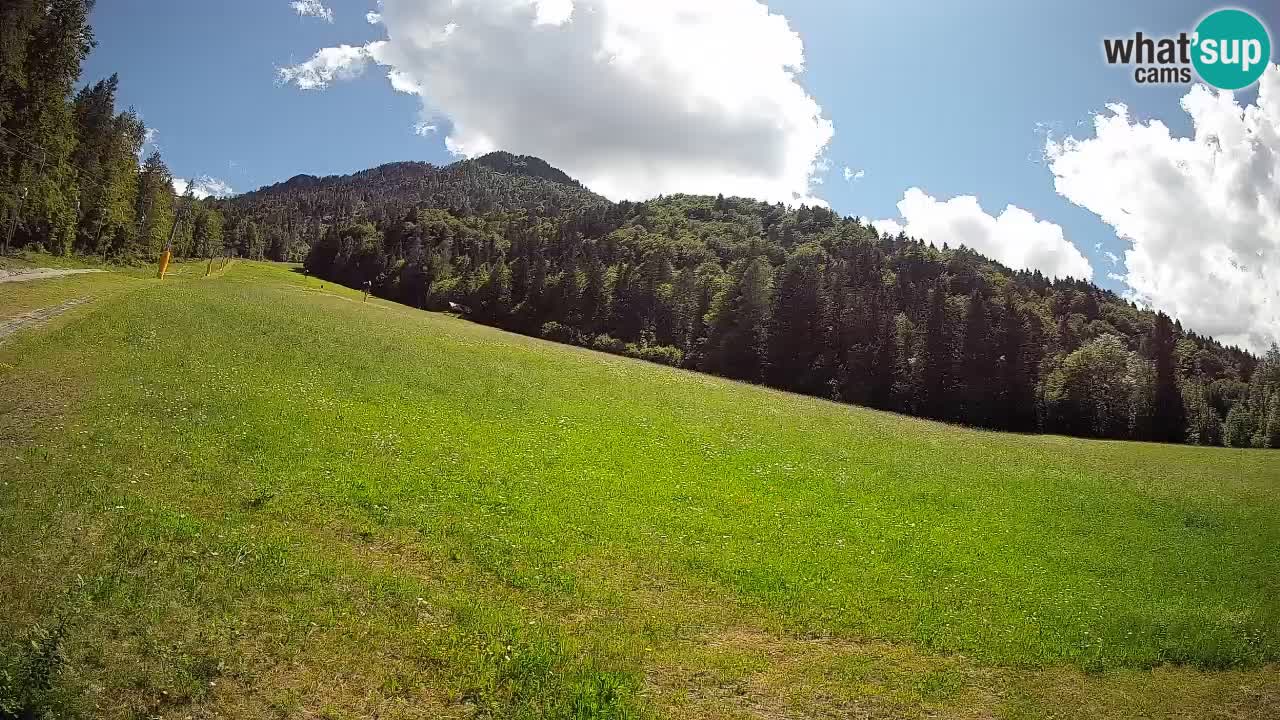 Comprensorio sciistico Kranjska Gora | Brsnina
