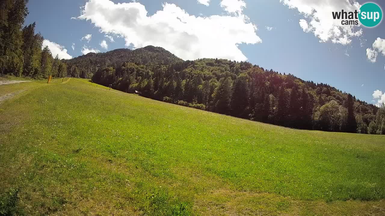 Comprensorio sciistico Kranjska Gora | Brsnina