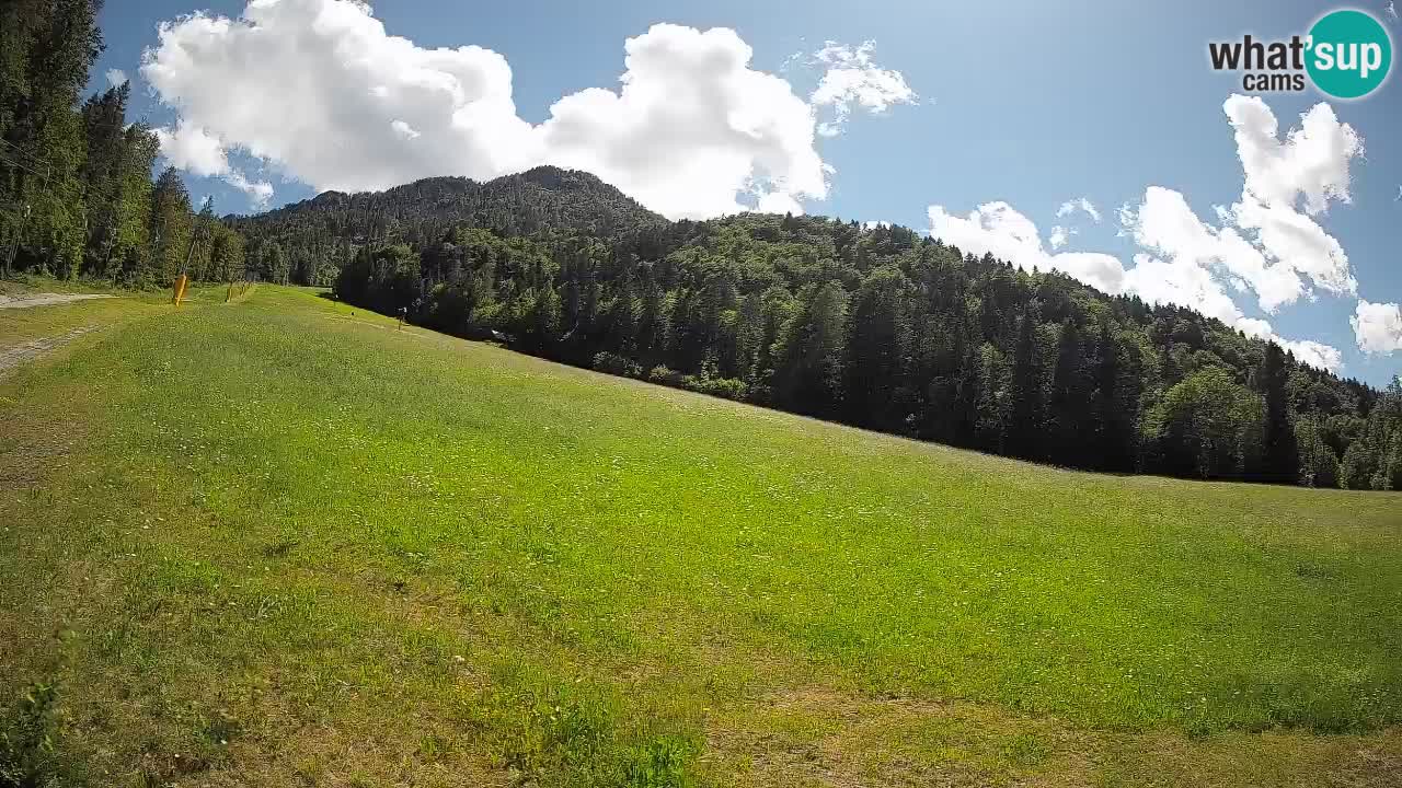 Kranjska Gora SKIJANJE | Brsnina
