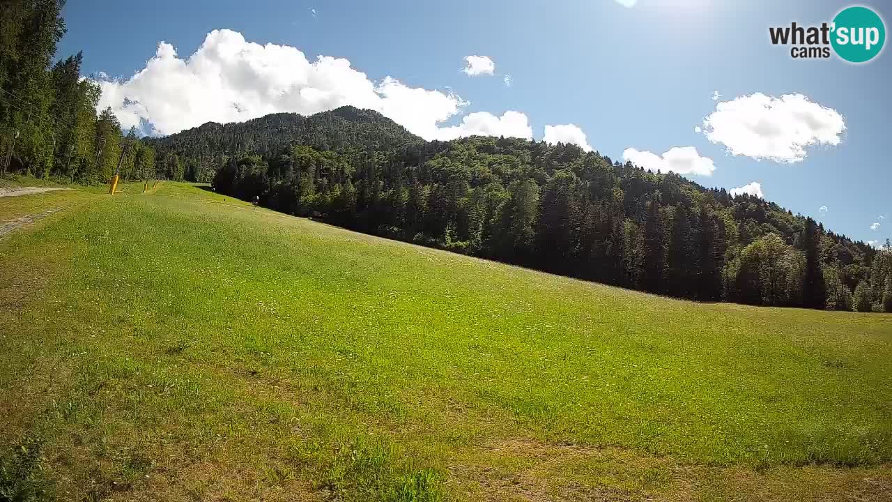Comprensorio sciistico Kranjska Gora | Brsnina