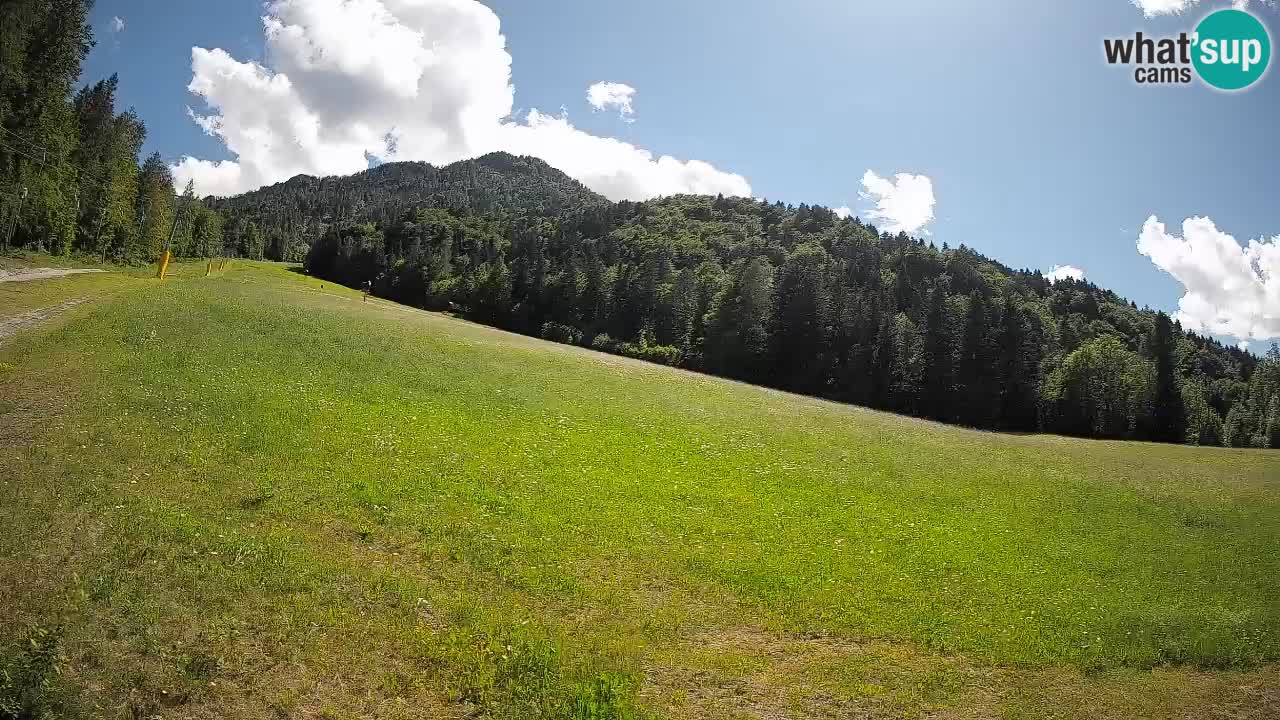 Ski Kranjska Gora | Brsnina