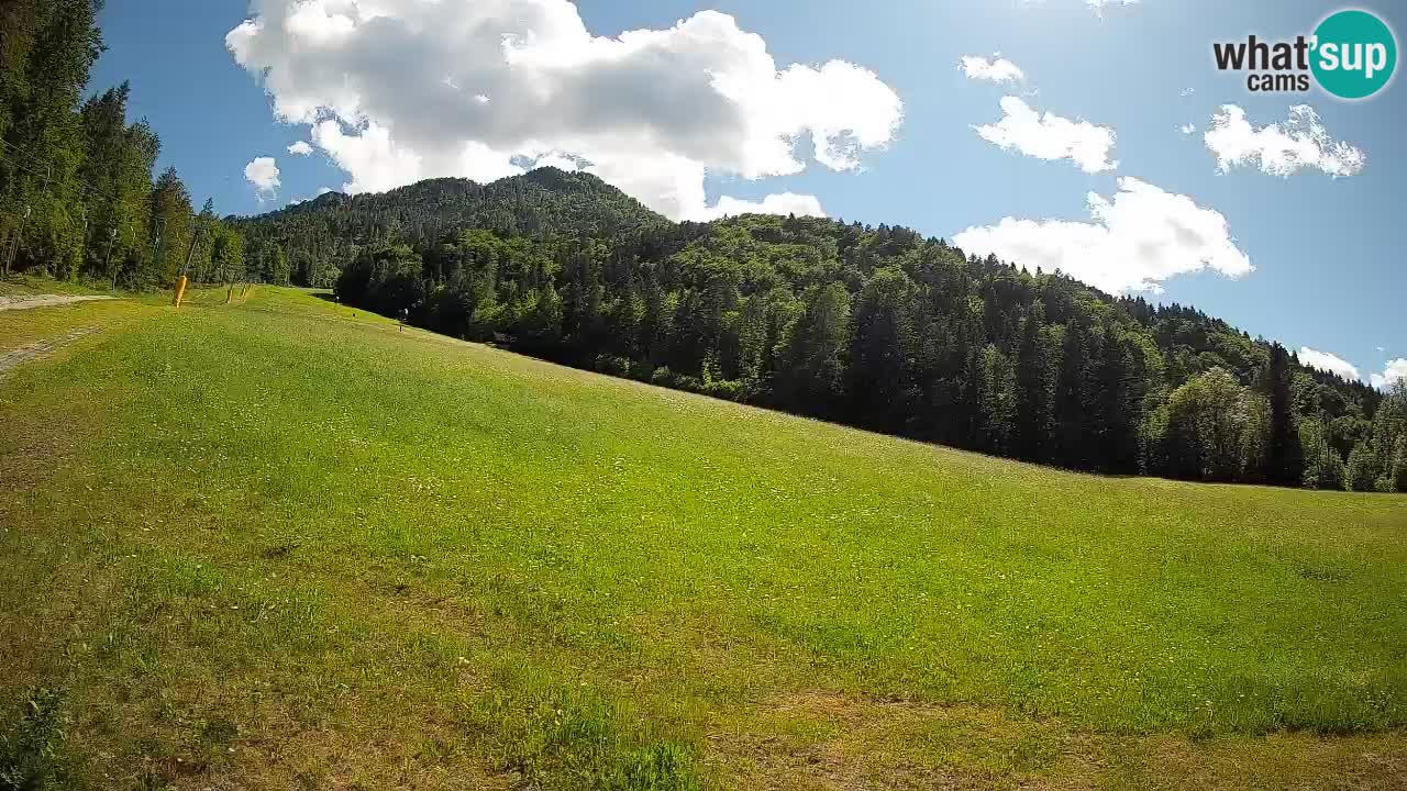 Kranjska Gora Station de ski | Brsnina